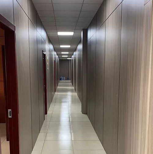 Tionscadal Comhtháthaithe Leighis agus Altranais Hongze Lake